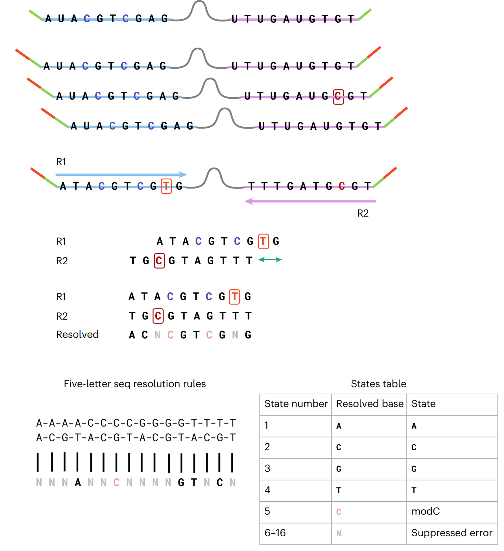 duet workflow image 2