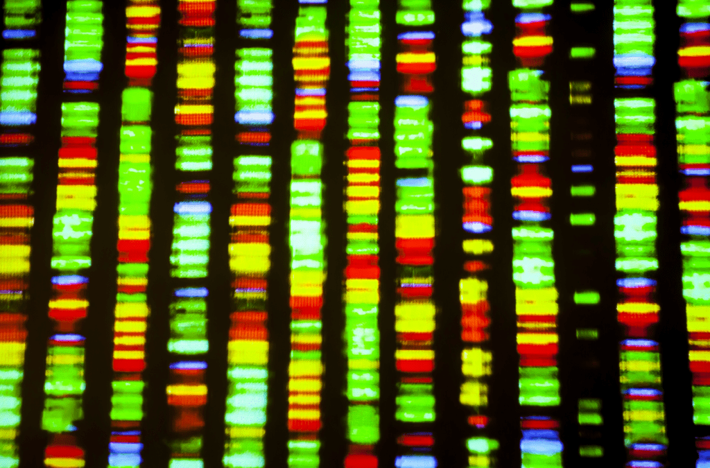 DNA sequences