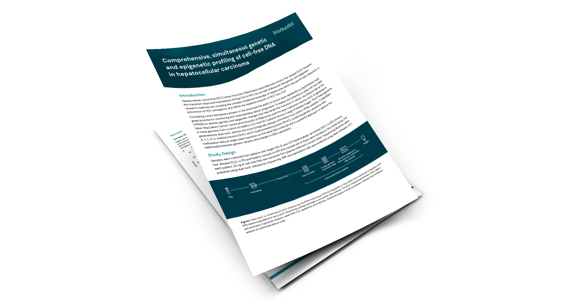 Comprehensive, simultaneous genetic and epigenetic profiling of cell-free DNA in hepatocellular carcinoma