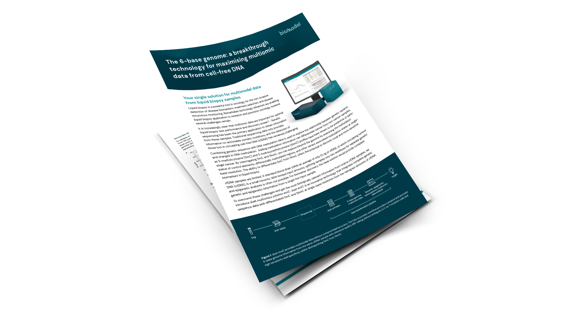 The 6-base genome: a breakthrough technology for maximising multiomic data from cell-free DNA