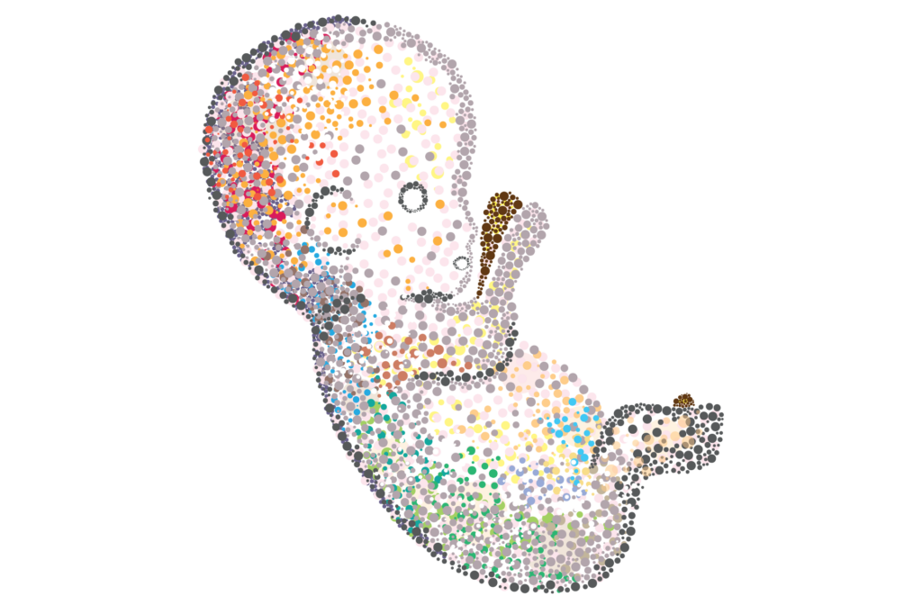 Navigating RNA-seq considerations and challenges