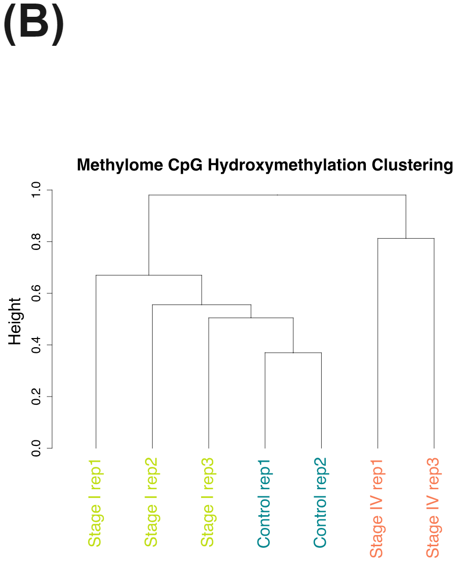 Methylome CpG Hydroxymethylation Clustering for healthy and CRC cfDNA generated with duet evoC