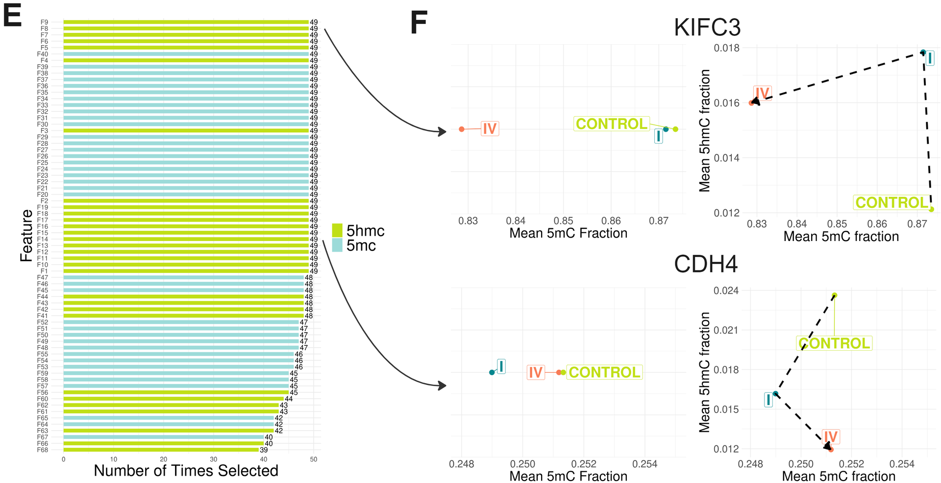 (E) Candidate features identified using LOOCV 5mC and 5hmC model ranked by the number of times they were selected. (F) Analysing 5hmC improves the ability to distinguish between CRC stages in genomic regions with subtle 5mC differences.