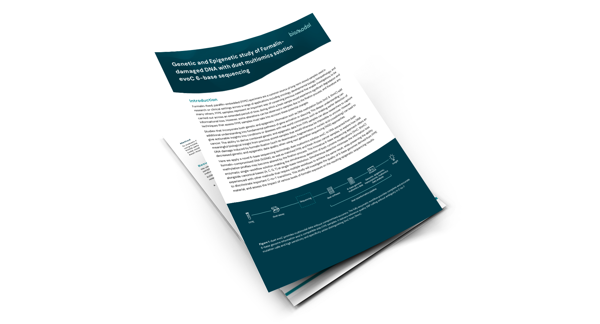 Genetic and Epigenetic study of Formalin-damaged DNA with duet multiomics solution evoC 6-base sequencing