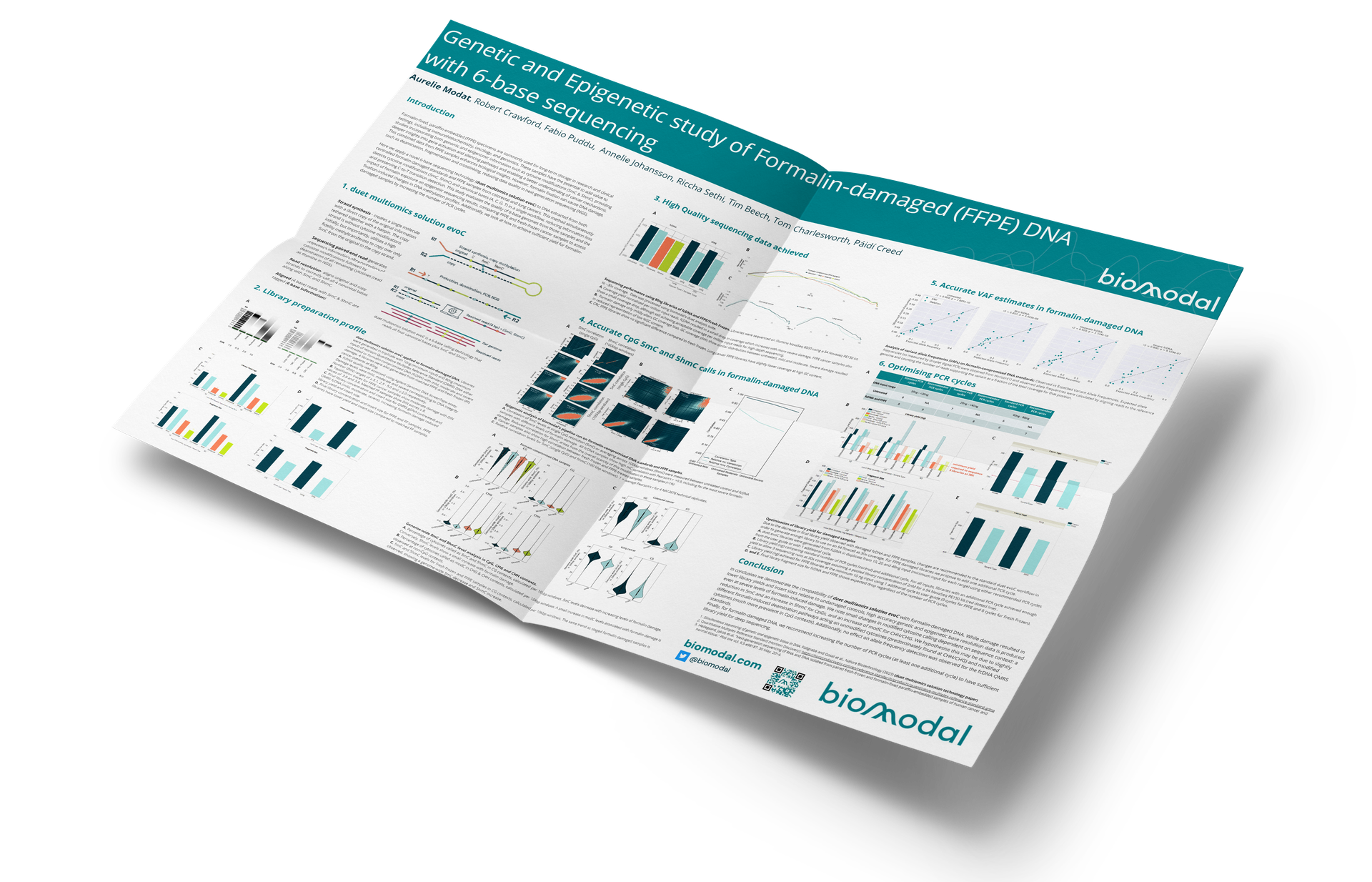 Genetic and Epigenetic study of Formalin-damaged (FFPE) DNA with 6-base sequencing