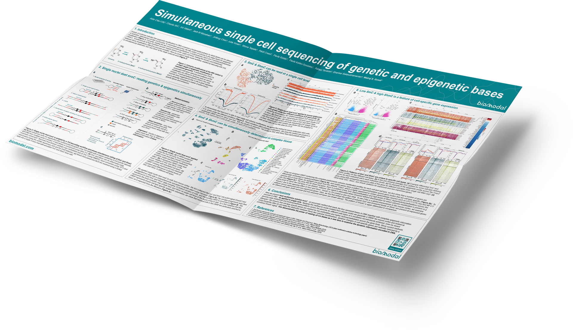 Simultaneous single cell sequencing of genetic and epigenetic bases