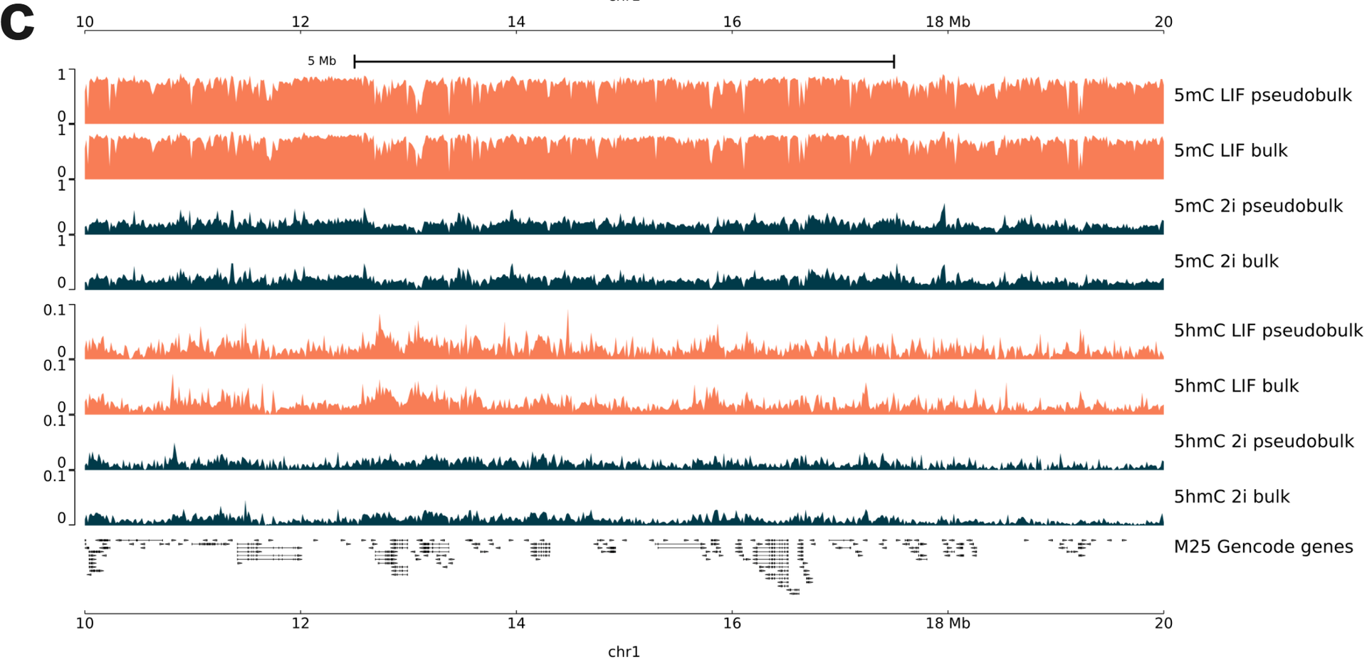 (c) Genome view of 5mC and 5hmC base calls from single cell clusters and bulk sequencing (LIF orange & LIF/2i in blue). Genome level data reveals one cluster can be assigned to cells grown with LIF and the other to LIF/2i.