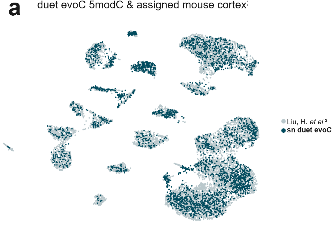 (a) A UMAP produced using the tool Harmony³ to jointly project single nuclei duet data (5modC) and publicly available single-cell bisulphite methylome atlas².