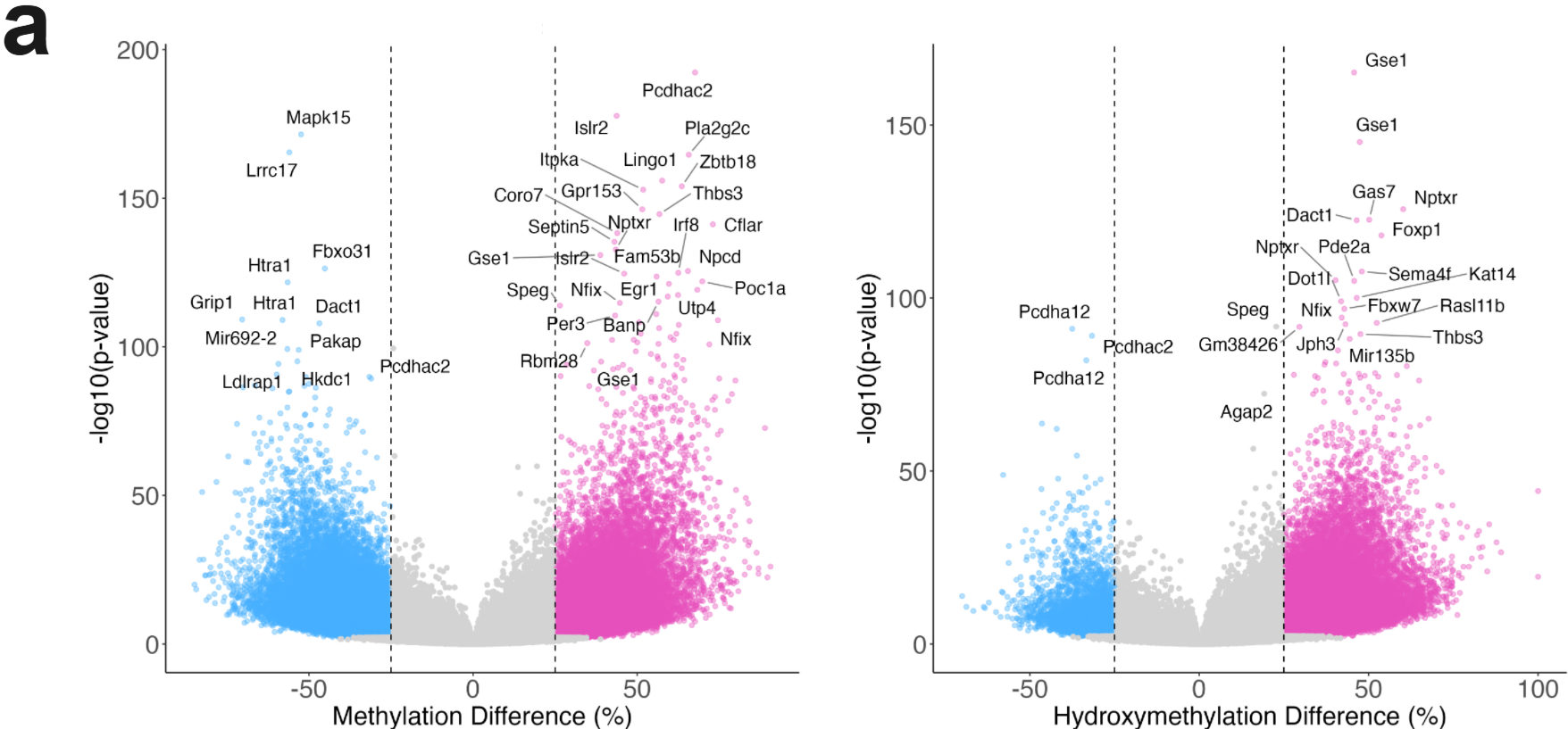 (a) Example differential 5mC and 5hmC profiles for two different cell types.