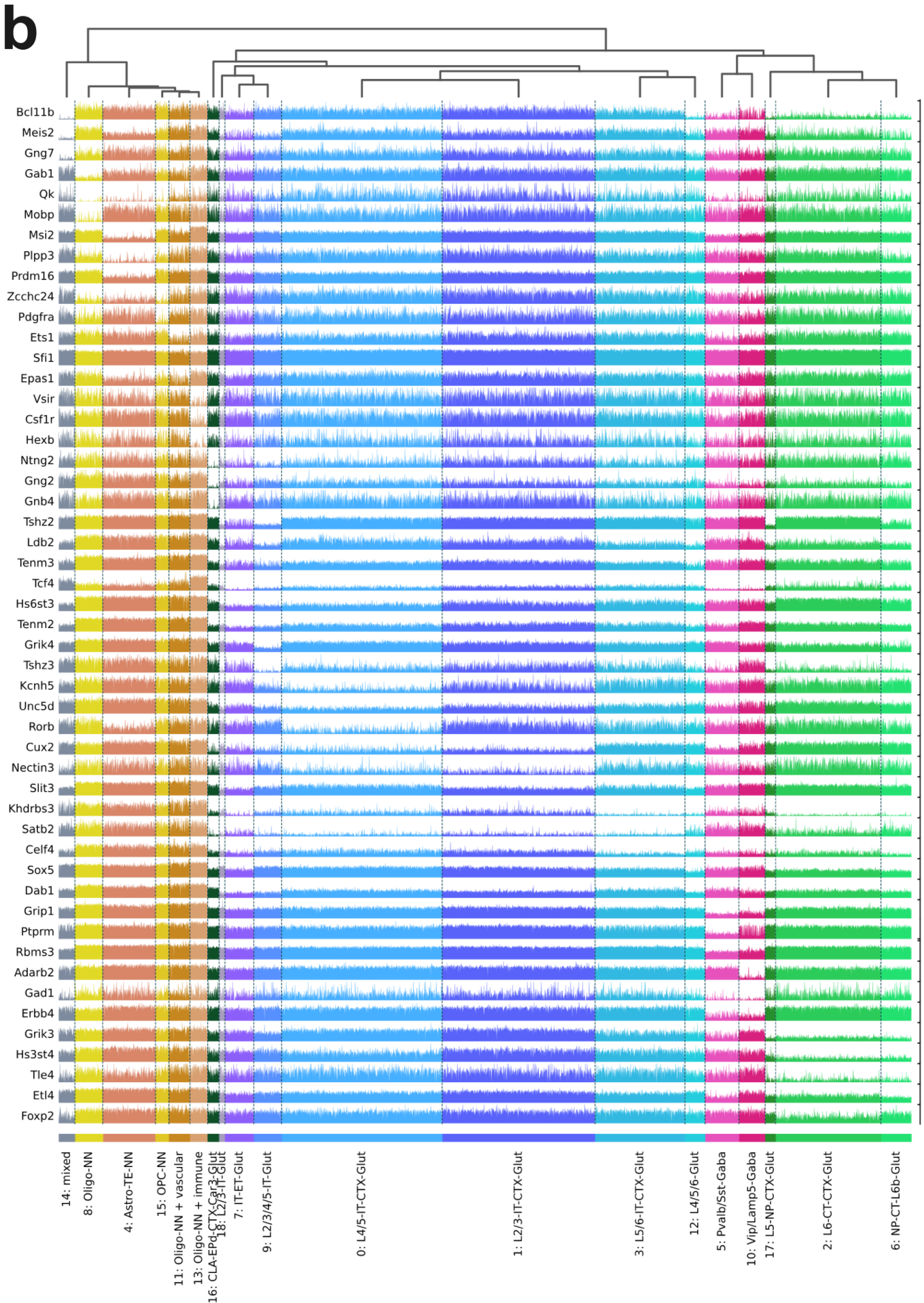 (b) A line plot showing average 5mC pattern for some cell-type defining genes for each individual cell in each individual cluster.