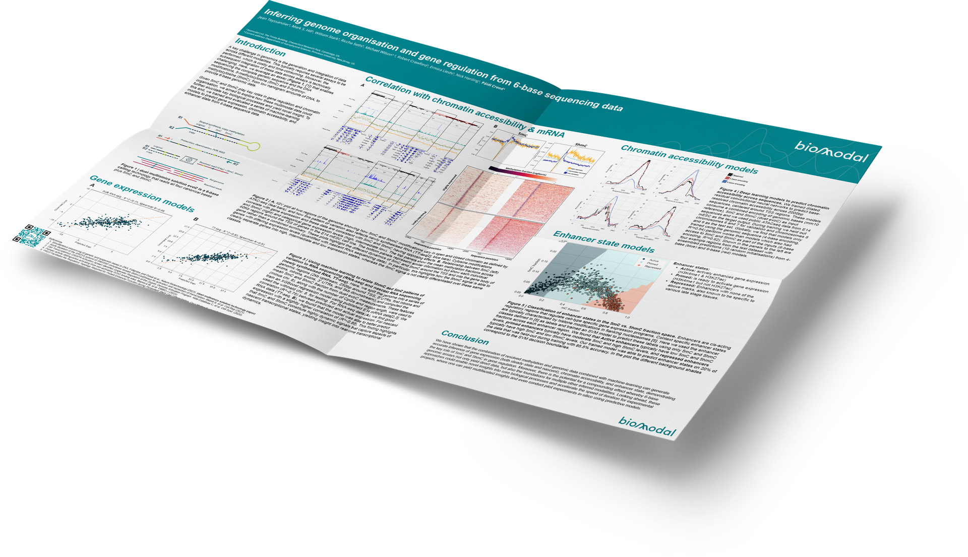 Inferring genome organisation and gene regulation from 6-base sequencing data 