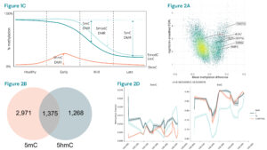 5‑methylcytosine and 5‑hydroxymethylcytosine are synergistic biomarkers for early detection of colorectal cancer