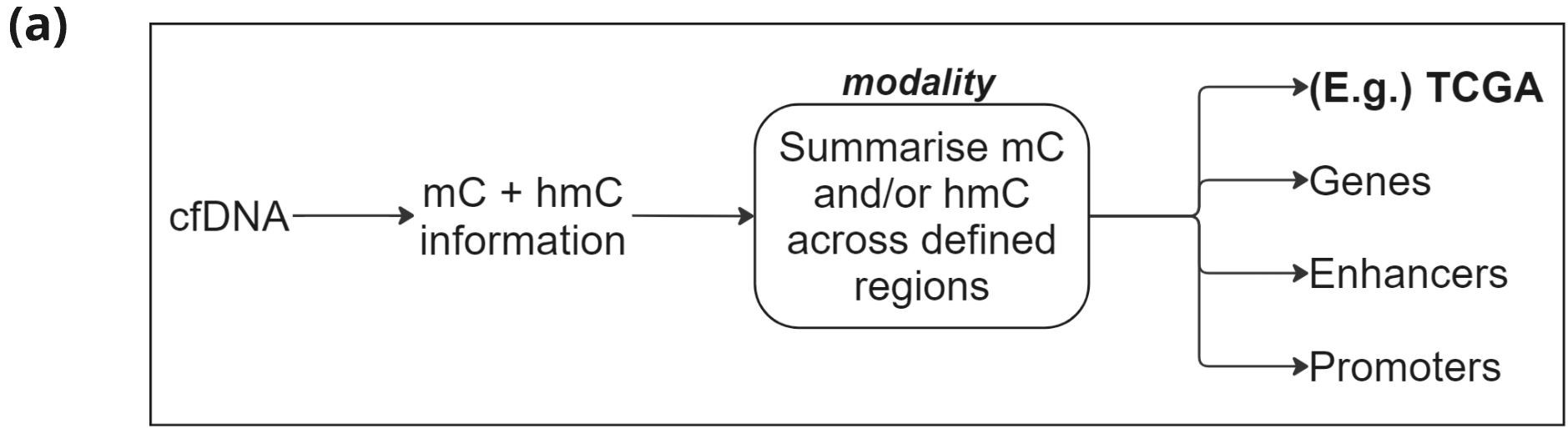 Schematic of the analysis of 6-base data from cfDNA focussing on 5mC and 5hmC in regions that are derived from DMRs between CRC tissue vs adjacent normal tissue.