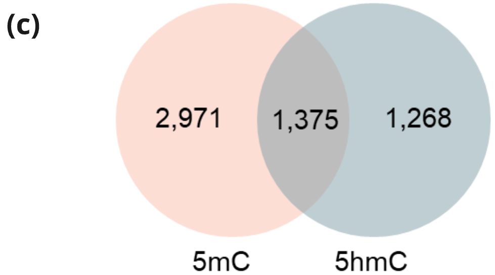 Box plot showing AUCs across 500 sub-cohorts for the different models demonstrate 5mC and 5hmC are consistently the most performative and the discriminatory signal is robust to cohort changes.