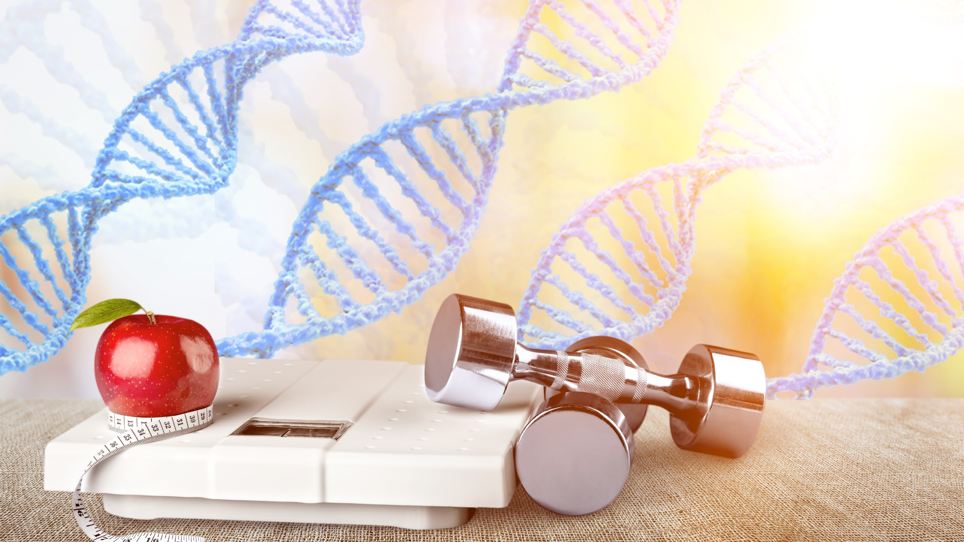 Lifestyle factors that affect DNA methylation