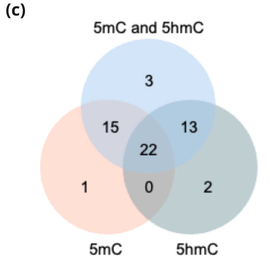 Venn diagram of correctly predicted CRC samples (threshold 0.5) for 5mC only, 5hmC only, and 5mC and 5hmC models highlighting the distinct and complementary contributions of 5mC and 5hmC to model performance.