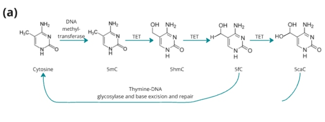 Figure 2a 1