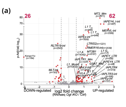 figure 3a 2