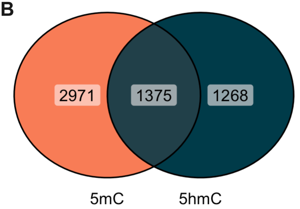 Multiomic 6-base sequencing enhances the performance of early colorectal cancer detection from cell-free DNA 5 Venn diagram of regions with statistically significant (beta regression, FDR q-value < 0.05) differences in 5mC and 5hmC in stage I plasma.