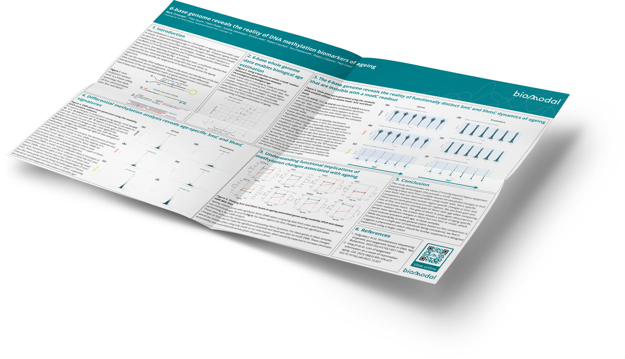 6-base genome reveals the reality of DNA methylation biomarkers of ageing