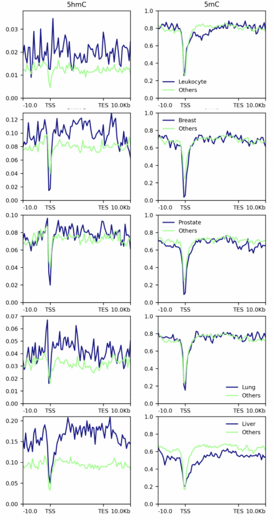Figure 4. 5hmC and 5mC in tissue-specific genes