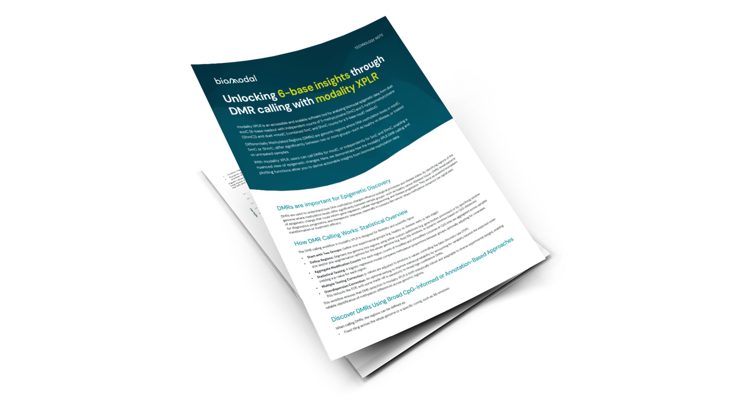 Unlocking 6-base insights through DMR calling with modality XPLR