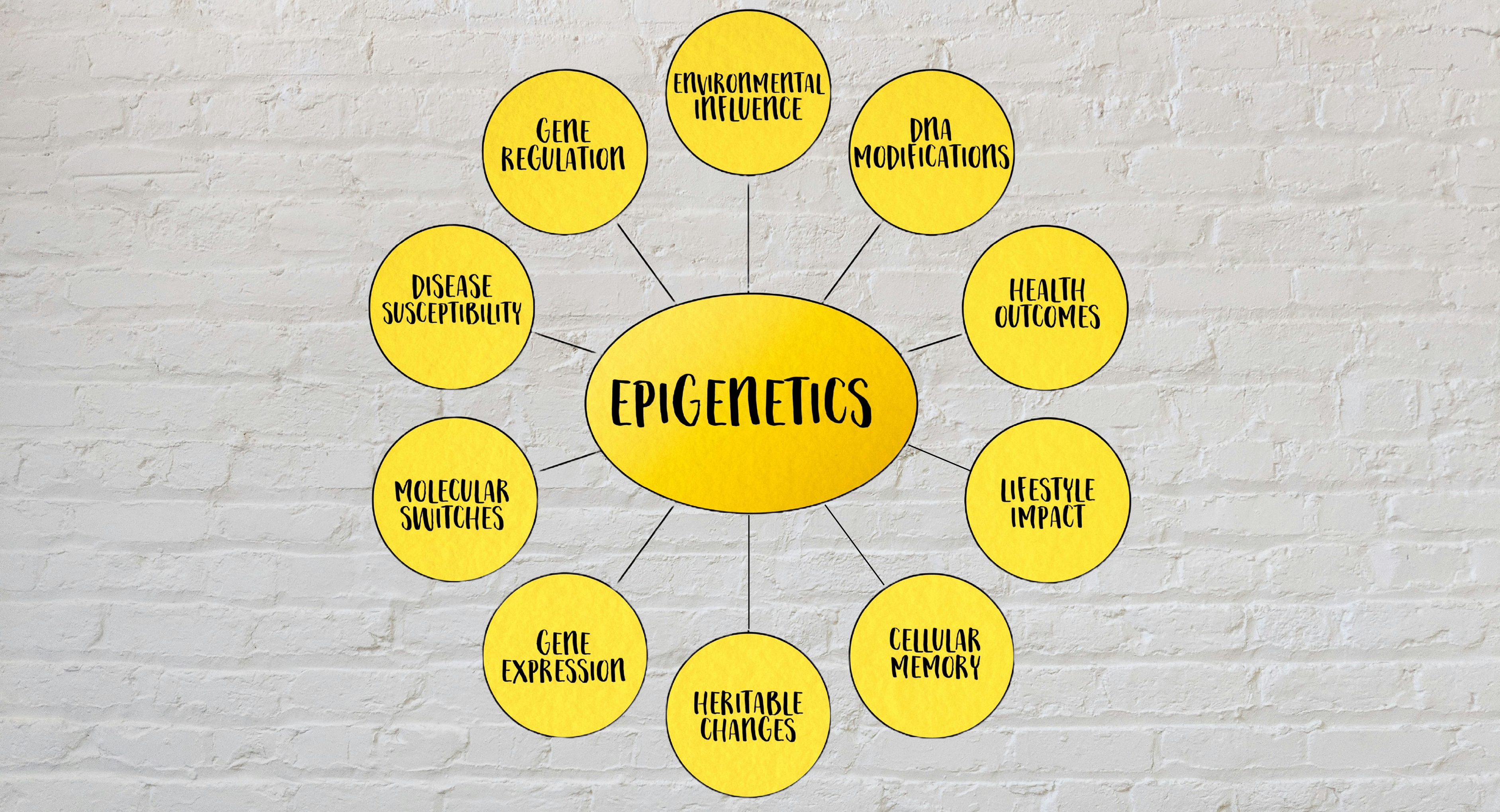 Why epigenetics is important