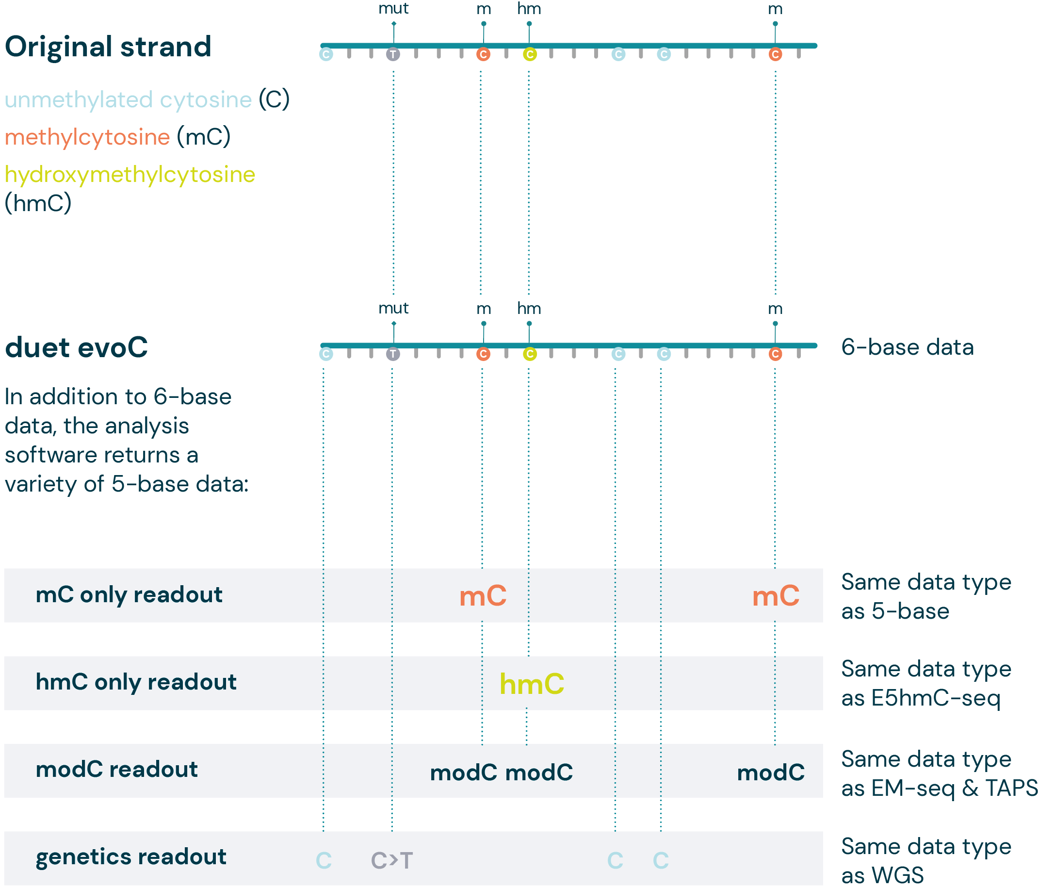 Screenshot 2025 12 16 183113