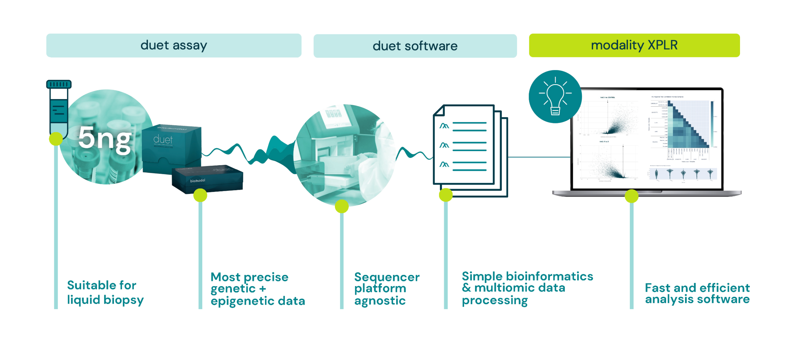 duet software workflow