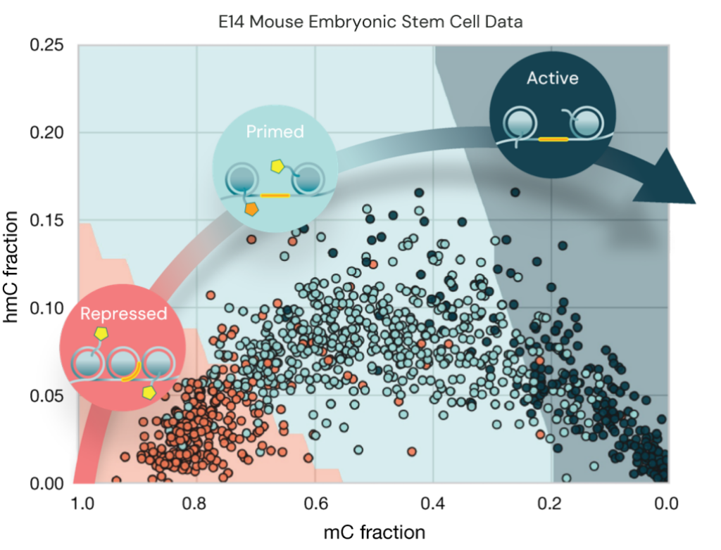 fig5A enhancer state classification